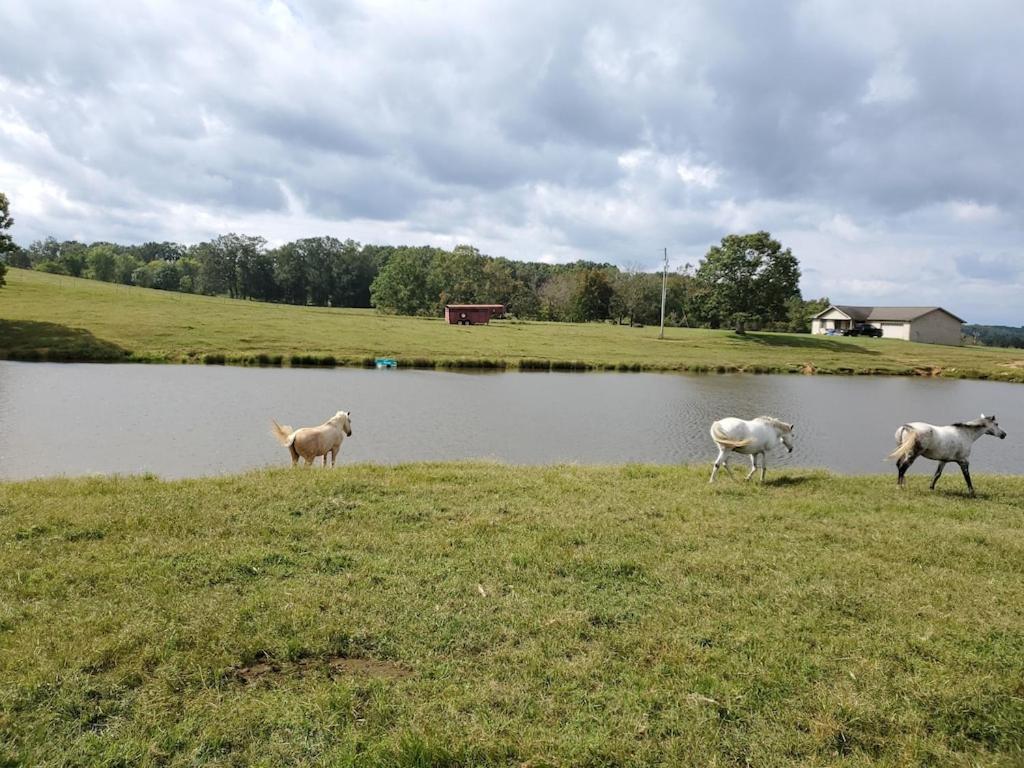 Secluded House On 60 Acres Close To Fall Creek Falls Pikeville Exterior foto